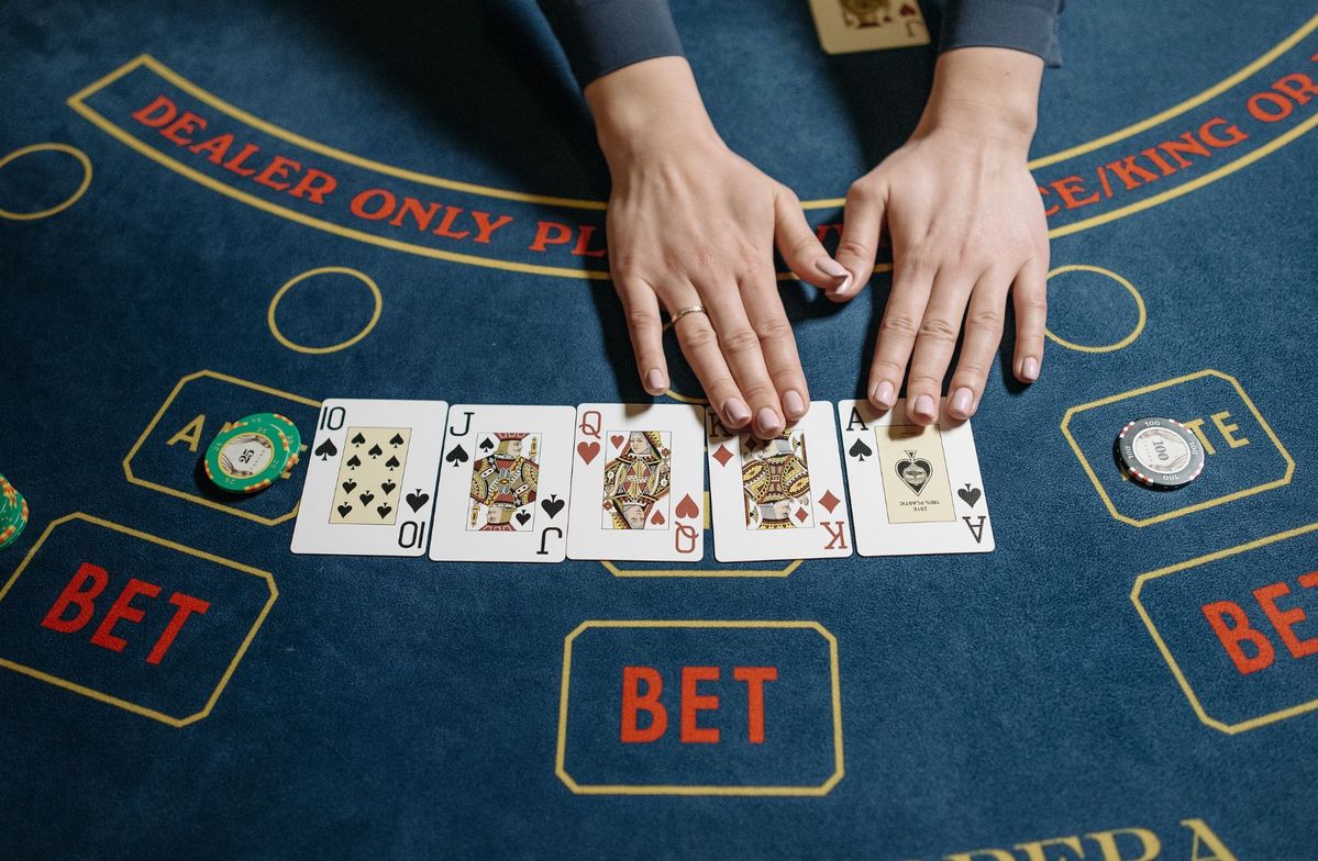 Rollbit Casino Live Betting